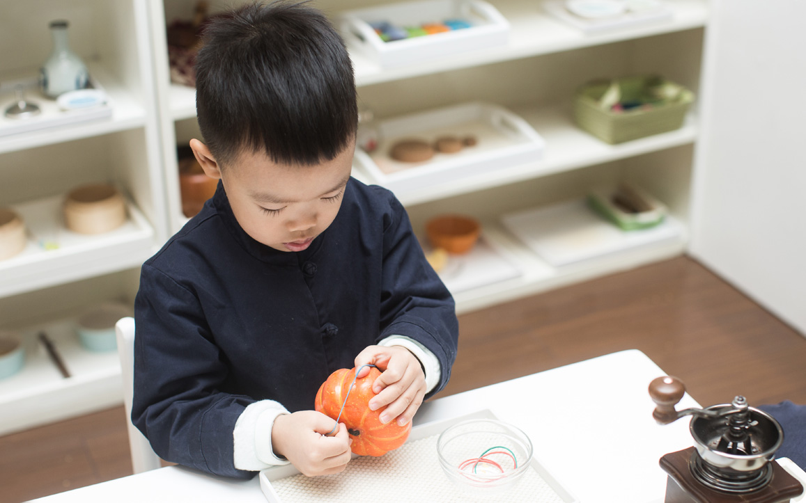 Montessori Curriculum